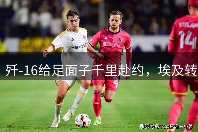 歼-16给足面子千里赴约，埃及转身追购阵风，歼-10手下败将凭啥？
